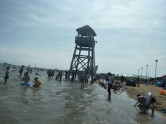-碧海金沙