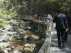 -牛背梁国家森林公园