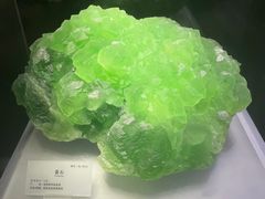 -湖南省地质博物馆