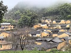 -杨家堂村
