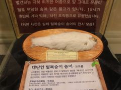 -信不信由你博物馆