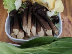 -大理老字号·舟渔的鱼野生菌海景餐厅(双廊店)