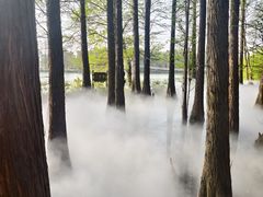 -东湖落雁景区