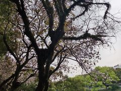 -潮州西湖