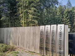 -都江堰中华大熊猫苑