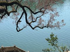 -蒋氏故居