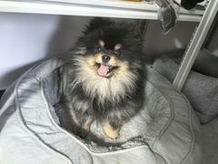 -美迦爱-牙专科·兔科·骨科诊疗中心(北苑店)