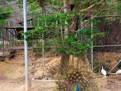 -佛山市三水区大南山森林公园