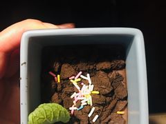 -盛江山自助料理(奥莱锦辉购物广场店)