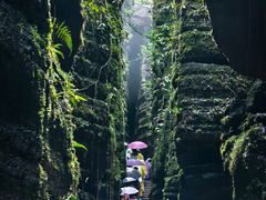 -梭布垭石林景区