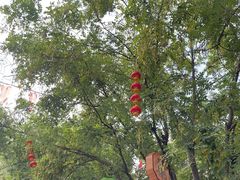 -北京稻香村(前门大街旗舰店)