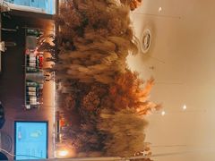 -渔语鱼新川菜Bistro(万象天地店)