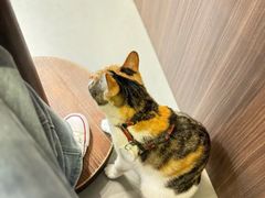 -Again Coffee Roaster(香蜜湖店)