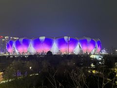 -杭州奥体中心-体育场