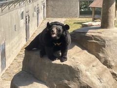 -石家庄市动物园