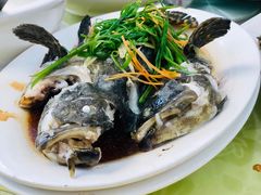 清蒸石斑鱼-波记美食店·现捞海鲜