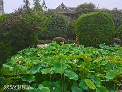 -四川大学(望江校区)