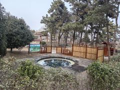 -东海森林温泉度假酒店