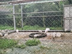 -下渚湖国家湿地公园科普馆