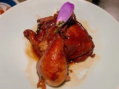 东坡半只鸡-桂满陇天书(南京德基旗舰店)