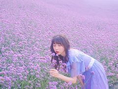 -紫颐香薰山谷景区
