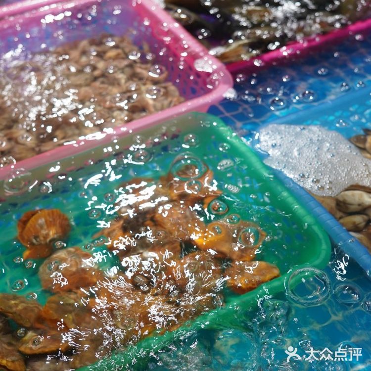 陵水天下客海鲜💯💯超靠谱  