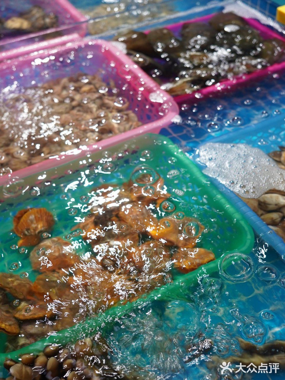 陵水天下客海鲜💯💯超靠谱  