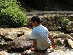 -广州白江湖森林公园