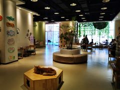 大堂-藏猫猫咖啡主题馆(中央大道店)