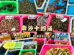 -十四涌水产中心
