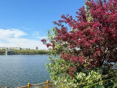 -长白岛森林公园