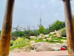 -青岛电视塔