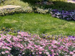 -瑞幸咖啡(云密城J栋店)