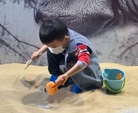 -恐龙探索乐园(磁器口店)