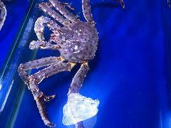 -青岛沙子口国家中心渔港