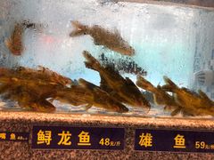 -格塘人家·山泉水煮鱼(望兴家园店)