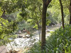 -广州白江湖森林公园