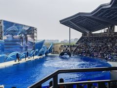 -上海海昌海洋公园