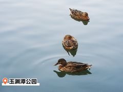 -国家植物园