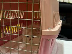 -瑞派名望24h动物医院异宠专科·猫专科·骨科·重症监护分院
