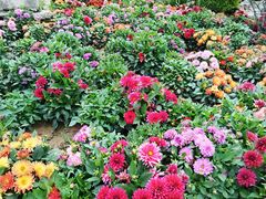 -青藏高原野生动物园