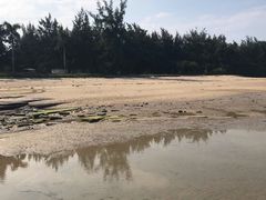 -贝壳沙滩