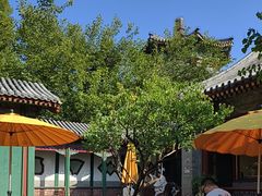 -宫事颐庭·老佛爷贵寿下午茶(颐和园店)