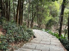 -火炉山森林公园