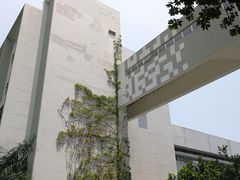 -香港大学