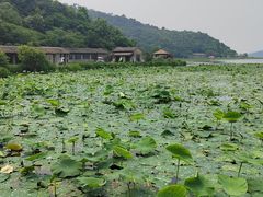 -东钱湖旅游度假区