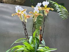 -云溪植物园