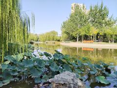 -南翠屏公园