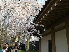 -醍醐寺