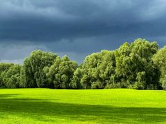 -长白岛森林公园